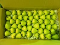 保證責任高雄市漢民果菜運銷合作社